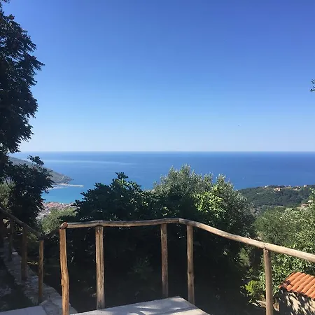 Tenuta Viggiani