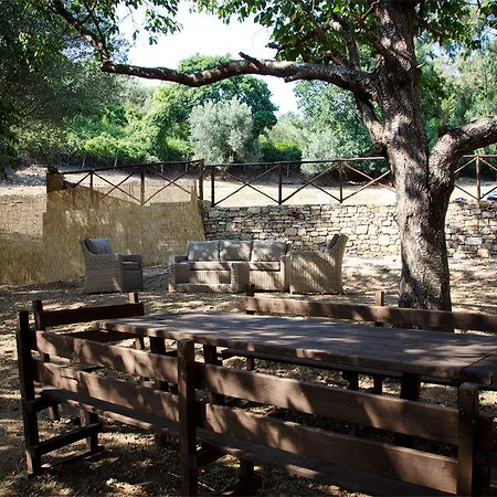 Tenuta Viggiani Sapri